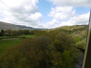 P1000313